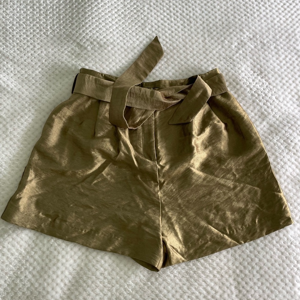 Green Satin Zara Shorts